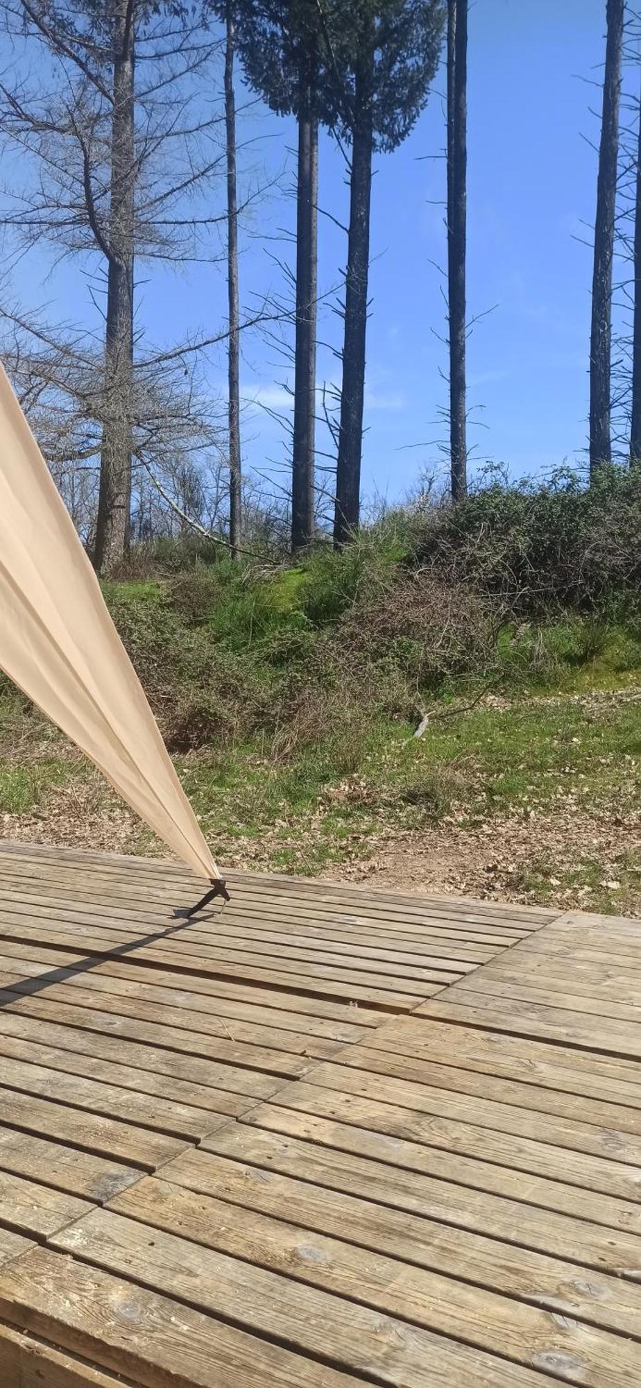 Eco Ceiba Hotel Busque Eksteriør billede