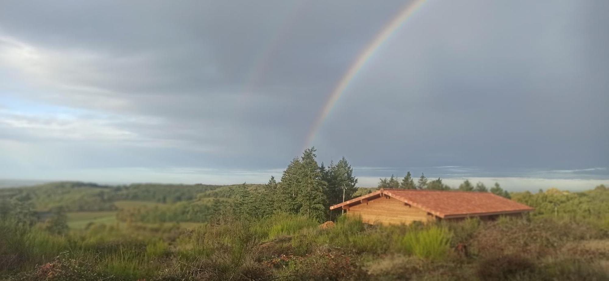 Eco Ceiba Hotel Busque Eksteriør billede