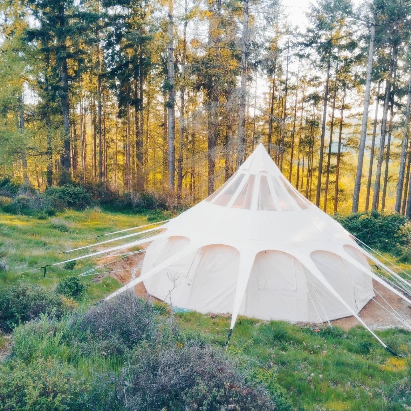 Eco Ceiba Hotel Busque Eksteriør billede