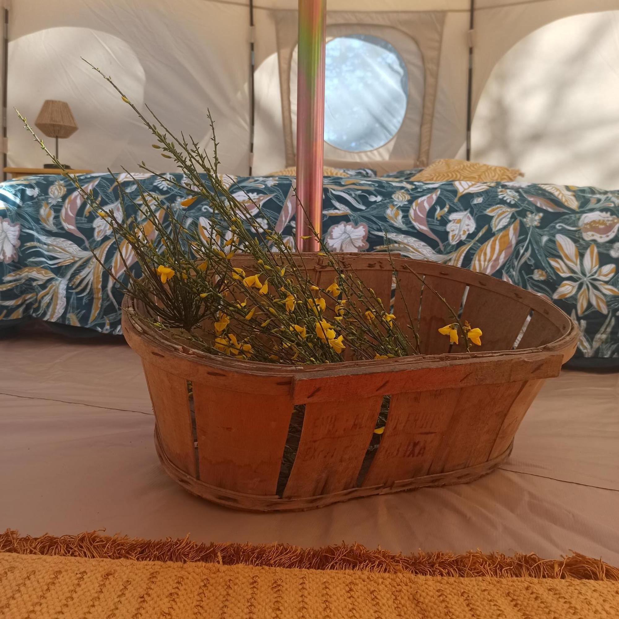 Eco Ceiba Hotel Busque Eksteriør billede